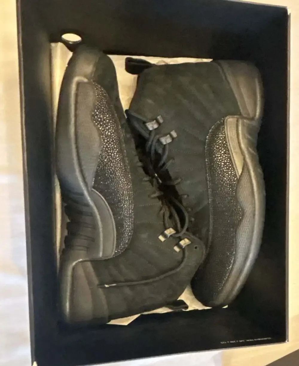 Jordan air 12